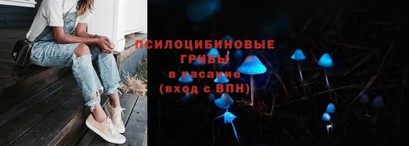 mega зеркало  Будённовск  Псилоцибиновые грибы Magic Shrooms 